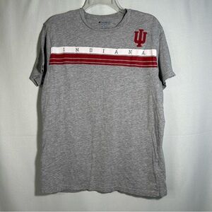 Champion Gray Indiana Tee with Red Stripes